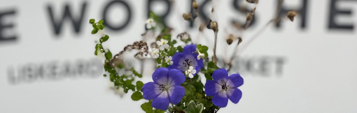 A seasonal centrepiece in front of text which reads 'The Workshed'
