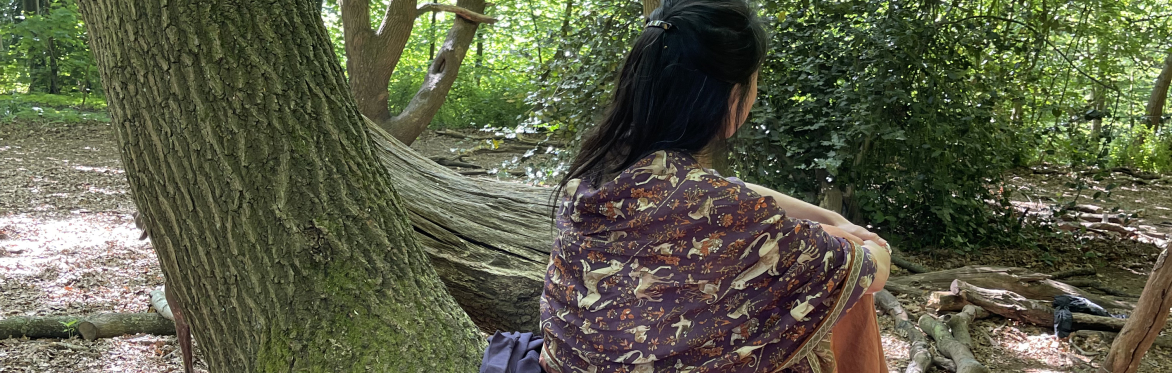 What trees can you find on your walk？