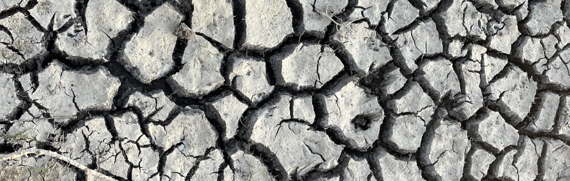 2 day Wild clay collecting processing and building with Adele Williams