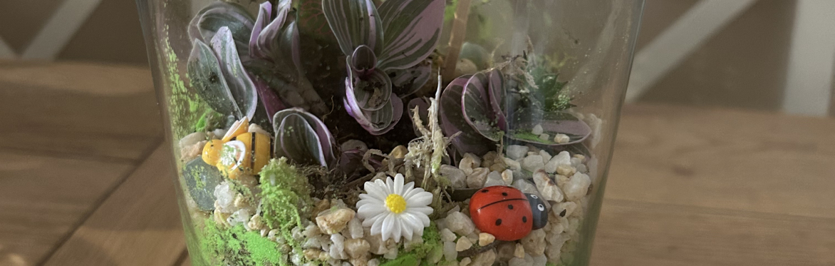 Terrarium Making
