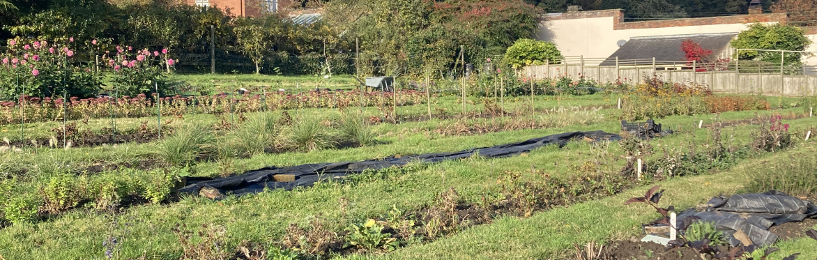 A photo of our garden at Wortley Hall