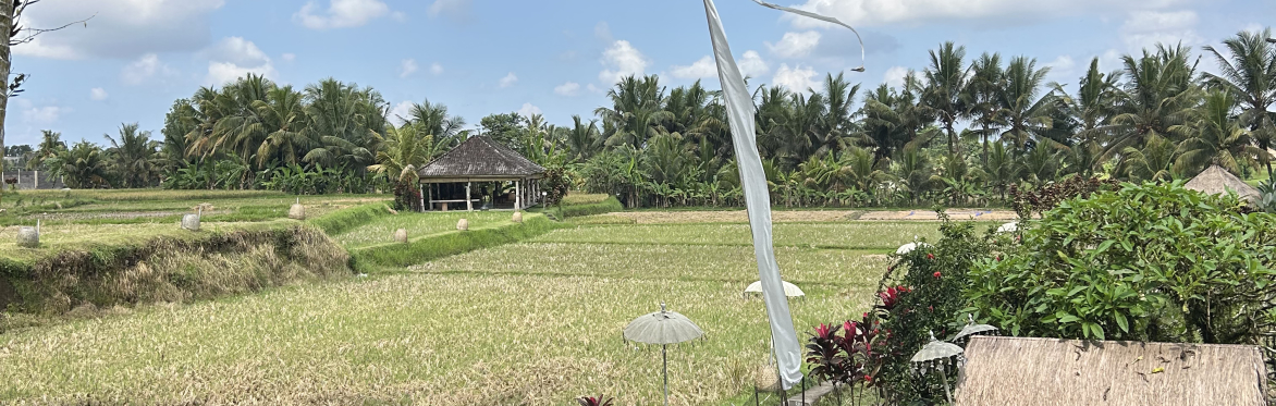 Immersion, June, Ubud, Bali