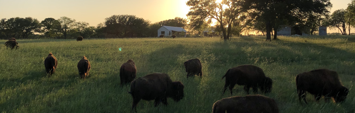Buy tickets – Spring Ranch Tour – ROAM Ranch