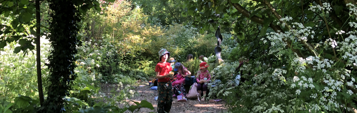 Wilderness Summer Camps 2026 at  Burtown House, Athy – Adventure, Nature & Fun Awaits! C-WC-SU-BH-2601