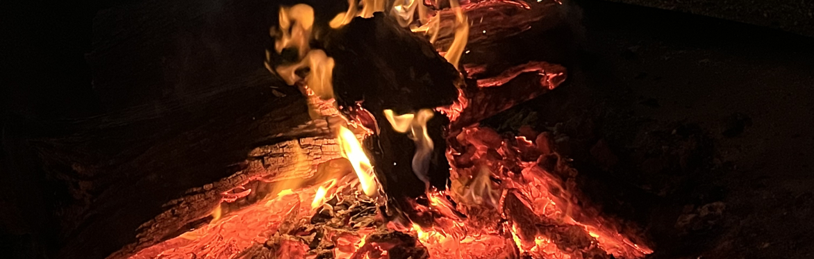Raku day course (current students only)
