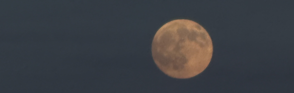 Under the Full Moon a Desert Gathering