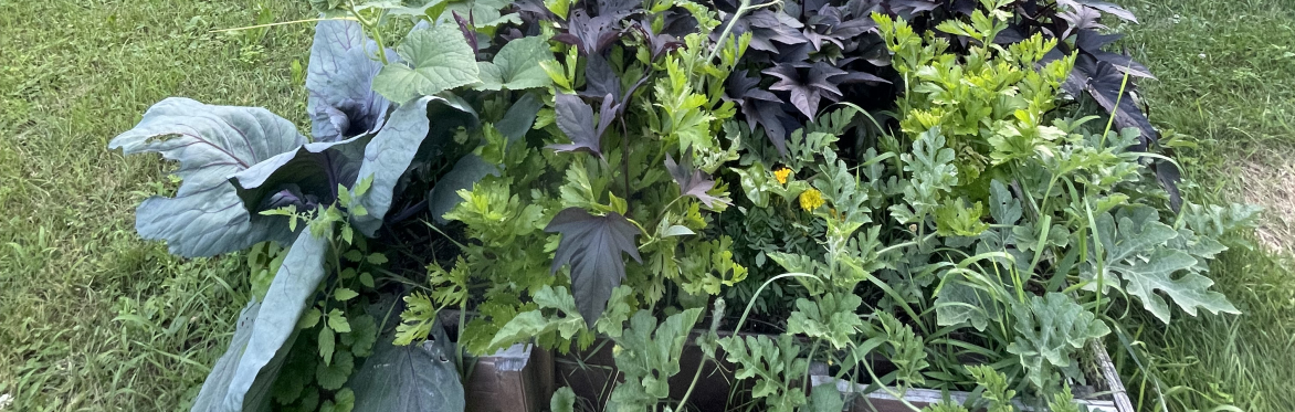 One of the kids' garden beds is featured, with a variety of annual vegetables and fruits growing in it. Photo courtesy of David Patrick.