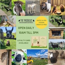 The Paddocks High Farm Holiday Park