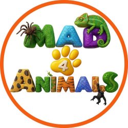 Get ready for Mad4Animals!