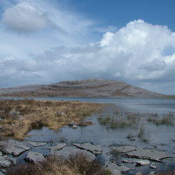 Burrenbeo Members' Walk - Shore Walk at Flaggy Shore