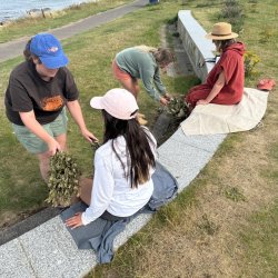 TWO-DAY LATVIAN PIRTS & WHISKING TRAINING WITH MON KĻAVIŅA