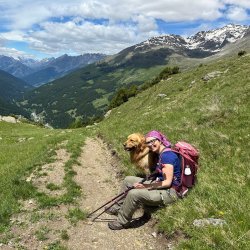 DOG SUMMER CAMP