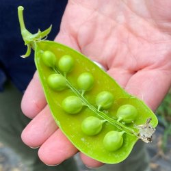 Sensory Farm Tour