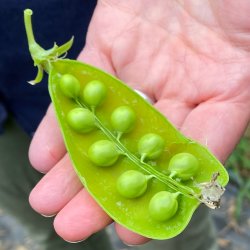 Sensory Farm Tour
