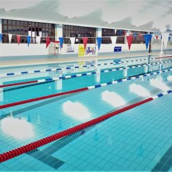 Southampton Swim
