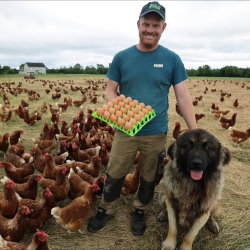 Inside the Gate: Dunnes Farm Pastured Eggs, Co. Kildare