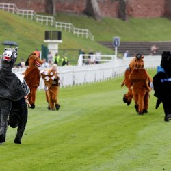 Pantomime Horse Race - Chester Racecourse 2026