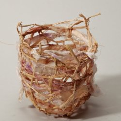 Botanical Dye & Weave
