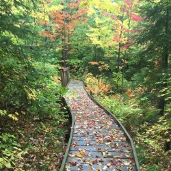 Summit boardwalk