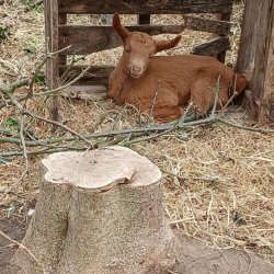 72hr Permaculture Design Course