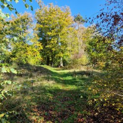 Out of the City — The Dinedor Walk