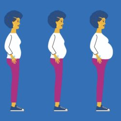 Pregnancy Stages