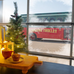 Medicine Hat Festive Flavours Cafe & Market Tour