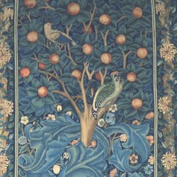 Flora & Fauna Art Workshop with Laura Browne