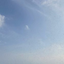 Peace Building as Climate Crisis Prevention and Preparation