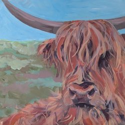 Highland Cow in Acrylics