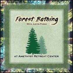 Forest Bathing