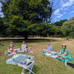 Mornings to Pause — A Slow Garden Morning