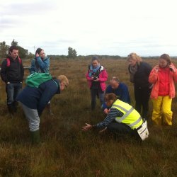 Plant Field Day: Peatland Habitat