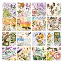 Salt Marsh nature journal