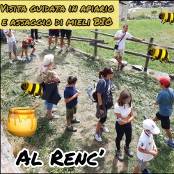 VISITA GUIDATA ALL’APIARIO E AL LABORATORIO DI SMIELATURA