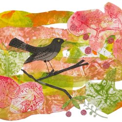 Wild Cornwall - Monoprinting with a Gelliplate
