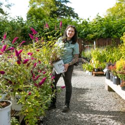 Coastal Gardening Success (Seaside)