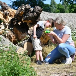 A mother and child looking at minibeasts