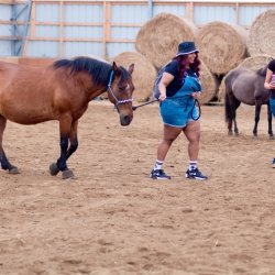 Equine Assisted Learning - private sessions