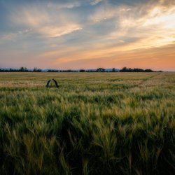 “Growing for America under the Big Sky” MABA/MGEA 2027 Annual Convention Sponsors and Vendors