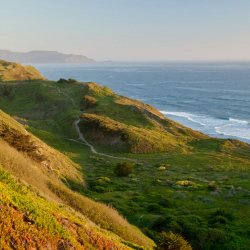 Mindful of Earth: Nature and Wellbeing With Robin | 7-Week Series - In Person