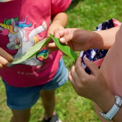 Atelier jardinage pour enfants