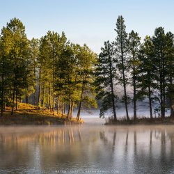 A point and island coming together on a lake in fog