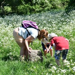 A mother and children looking at minibeasts