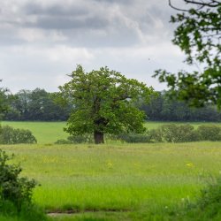 land enjoys views of the City of London skyline