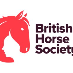 First Aid Training - One Day Refresher (Happy Hooves RC, Cumbria) North