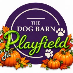 Pumpkins in The Playfield Exclusive