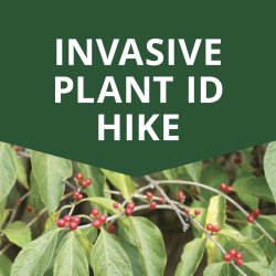 Invasive Plant ID Hike
