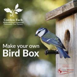 Make your own Bird Box