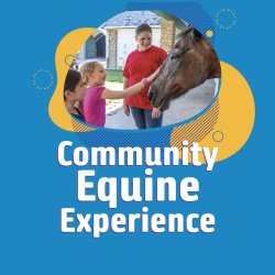 Community Equine Experience